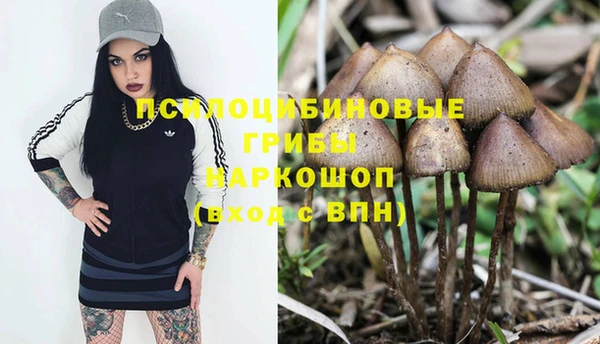 ALPHA PVP Богородск
