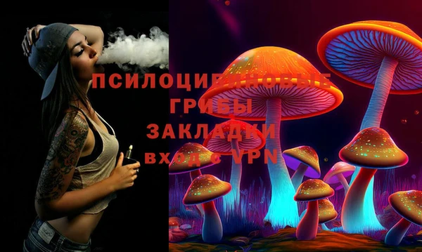 экстази Богородицк
