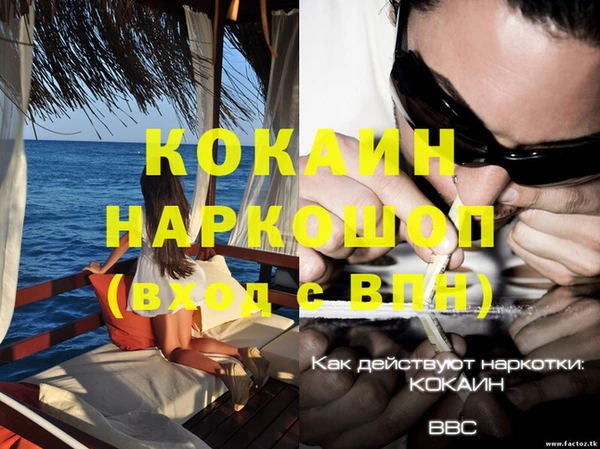 дурь Богданович