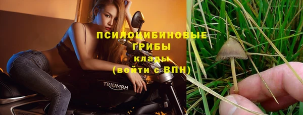 ALPHA PVP Богородск