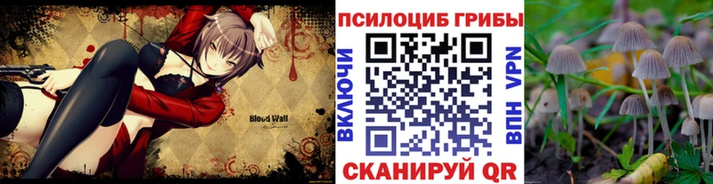 Псилоцибиновые грибы прущие грибы Коммунар