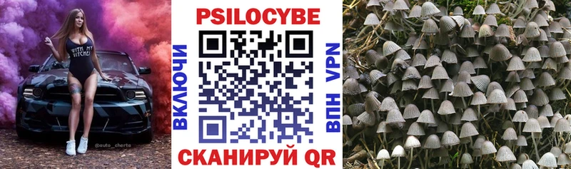 купить наркоту  KRAKEN ССЫЛКА  Псилоцибиновые грибы мицелий  Коммунар 